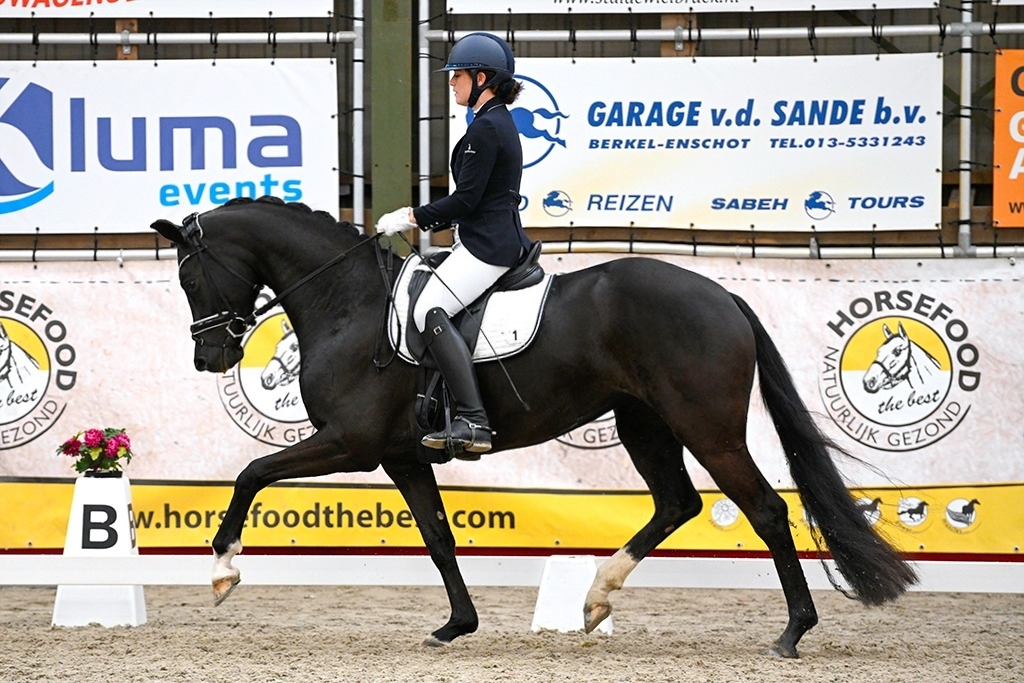 Odessa Horsefood 2023 bewerkt